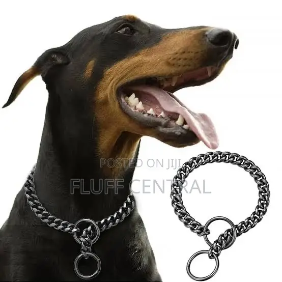 Chock Chain Collar 5mm*70cm