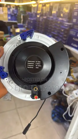 100w Bluetooth Celling Speaker