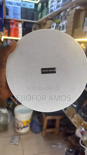 100w Bluetooth Celling Speaker