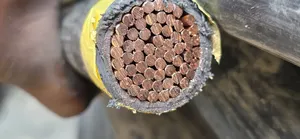 500mmx1core PVC PVC Nigerchin Cable