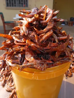 Falouable Shrimps