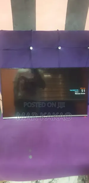 Television
