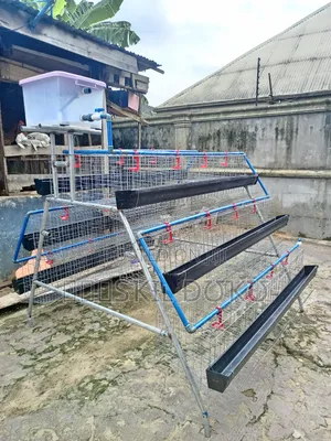Battery Cages