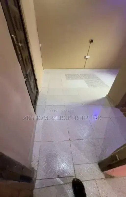 Mini Flat in Onipanu for rent