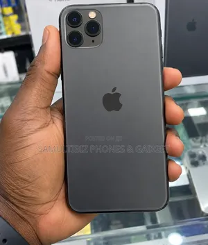 Apple iPhone 11 Pro Max 256 GB Gray