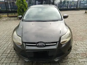 Ford Focus 2014 Gray