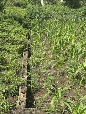1 Acre of Land With Fence