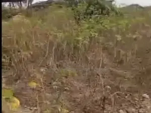 2 Plots for Sale in Ohiya Umuahia Abia State