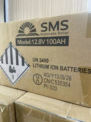 SMS 1kwh 100a Battery