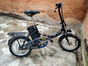 Tokunbor 36 Volts Electric Bicycle