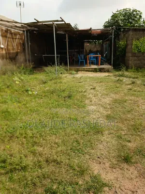 Land Half Plot