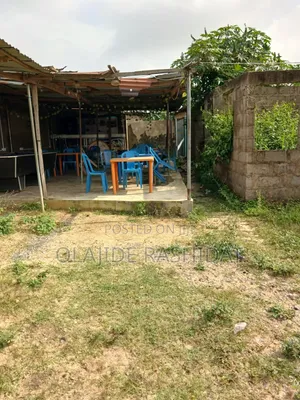 Land Half Plot