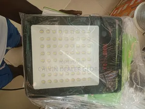 100watts Floood Light