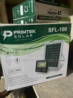 100w Floodlight