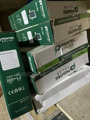 100w Floodlight