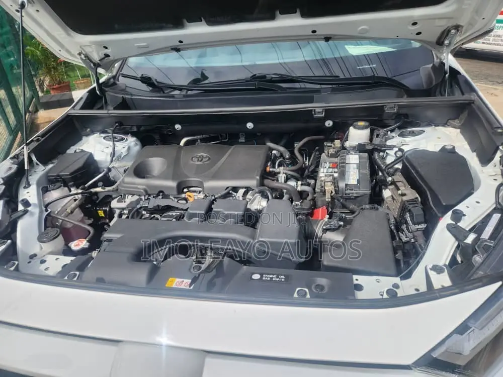 Toyota RAV4 XLE 2022 White