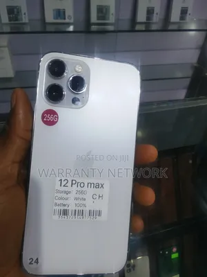 Apple iPhone 12 Pro Max 256 GB White