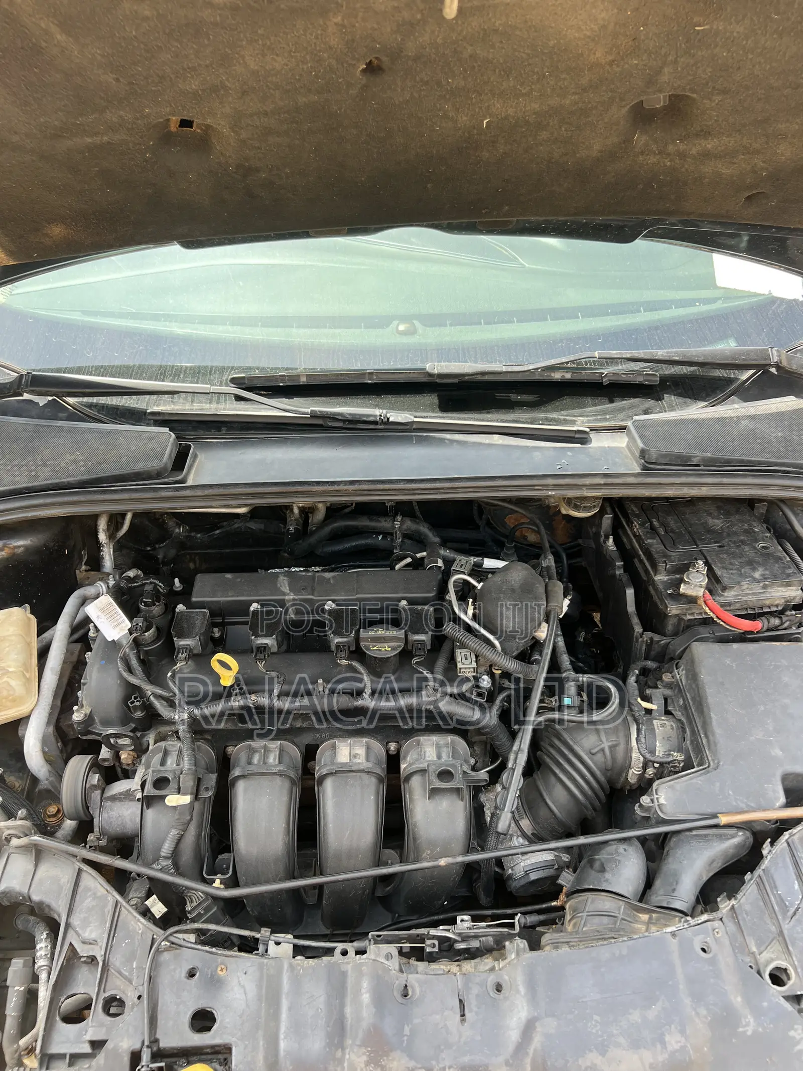 Ford Focus SE 2011 Black