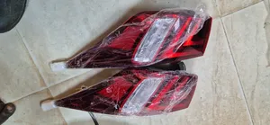 Complete Back Light Is 250 2015