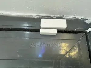 Door/Window Sensor