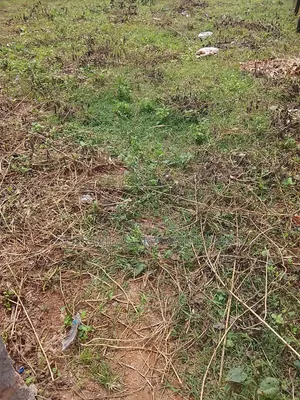 A Plot of Land at Igboolyin Igbaro