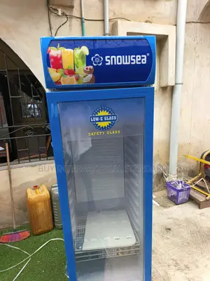 SNOWSEA LC 300L Business Cooling Equipment for Shops
