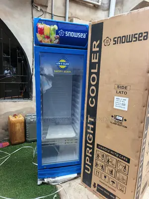 SNOWSEA 300L Chiller for Commercial Beverage Management