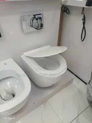 Wall Hung Conduit Toilet