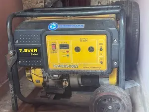 Generator Electronics