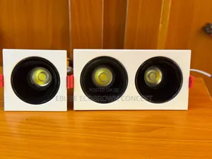 Double Recessed Spot Light Available in Black and White Body