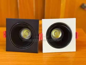 Double Recessed Spot Light Available in Black and White Body