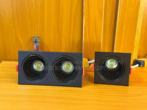 Double Recessed Spot Light Available in Black and White Body