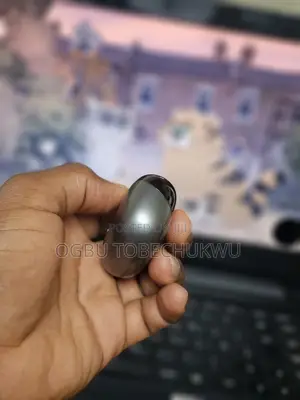 Lenovo Services Clip on Style Earbuds