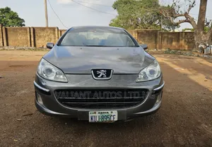 Peugeot 407 2.0 SW 2007 Gray