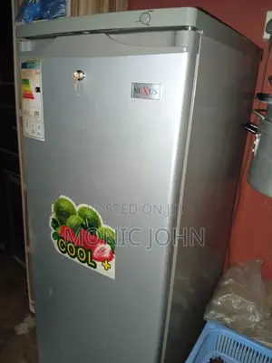 Standing Freezer