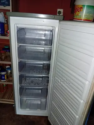 Standing Freezer