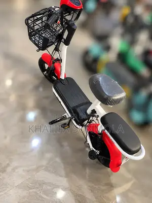 Electric Bike/Scooter