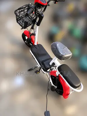 Electric Bike/Scooter