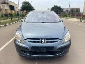 Peugeot 307 1.4 2005 Gray