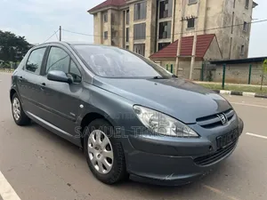 Peugeot 307 1.4 2005 Gray
