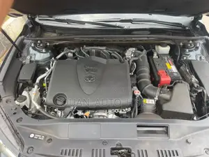 Toyota Avalon Limited 2020 Gray