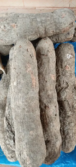 Potato and Yam