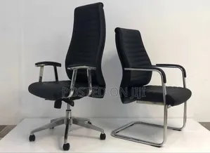 Executive Office Chair and Visitors Chair