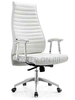 Executive Office Chair and Visitors Chair