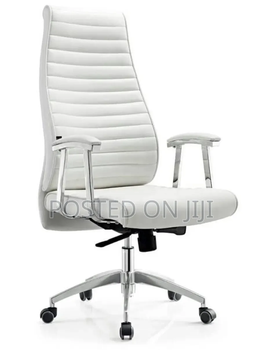 Executive Office Chair and Visitors Chair