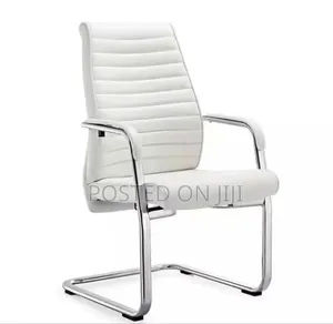 Executive Office Chair and Visitors Chair