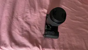 Sony Zve10-10