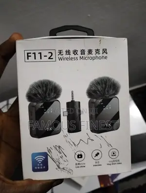 F11-2 Wireless Microphone