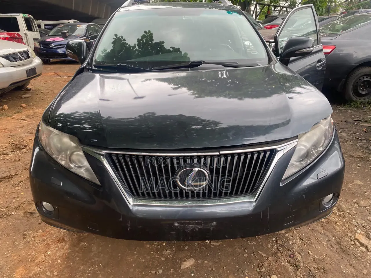 Lexus RX 350 2010 Gray