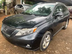 Lexus RX 350 2010 Gray